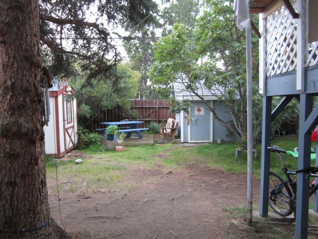Beez Kneez Bakpakers Albergue Whitehorse Exterior foto