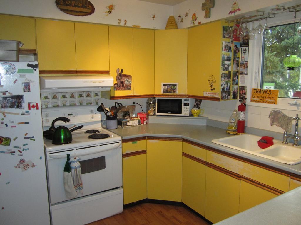 Beez Kneez Bakpakers Albergue Whitehorse Exterior foto
