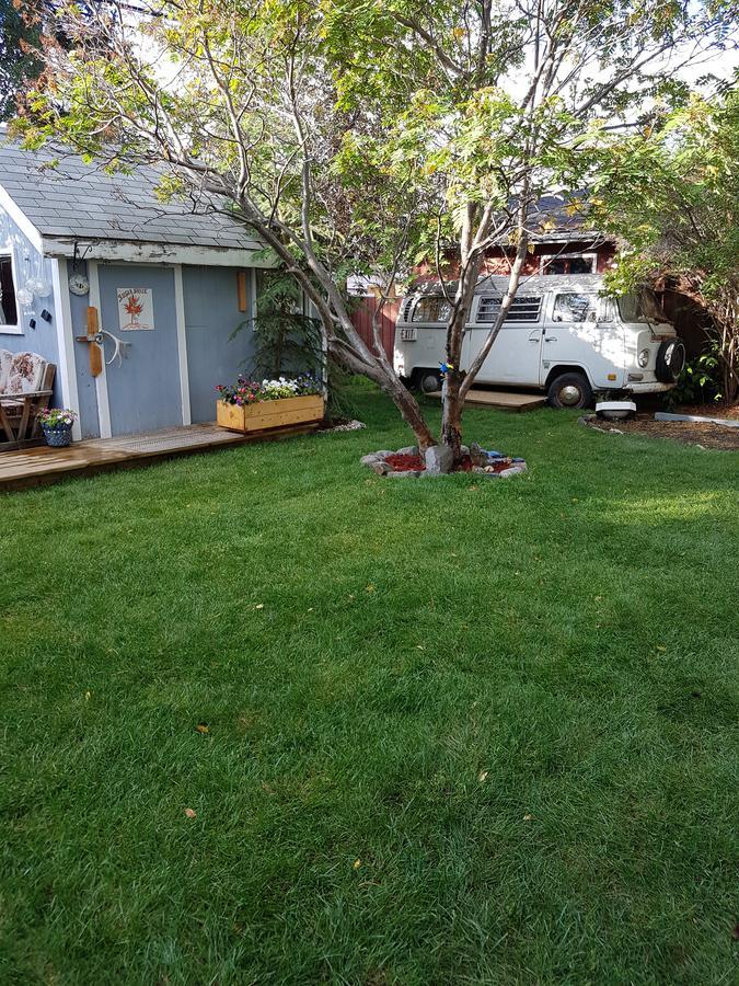 Beez Kneez Bakpakers Albergue Whitehorse Exterior foto