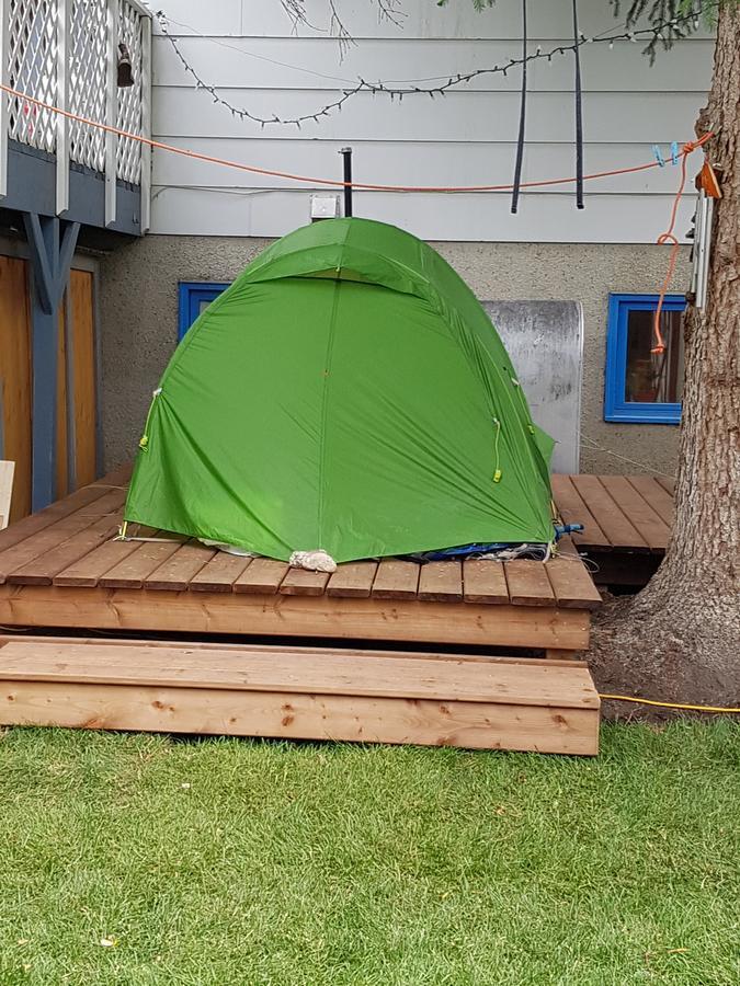 Beez Kneez Bakpakers Albergue Whitehorse Exterior foto