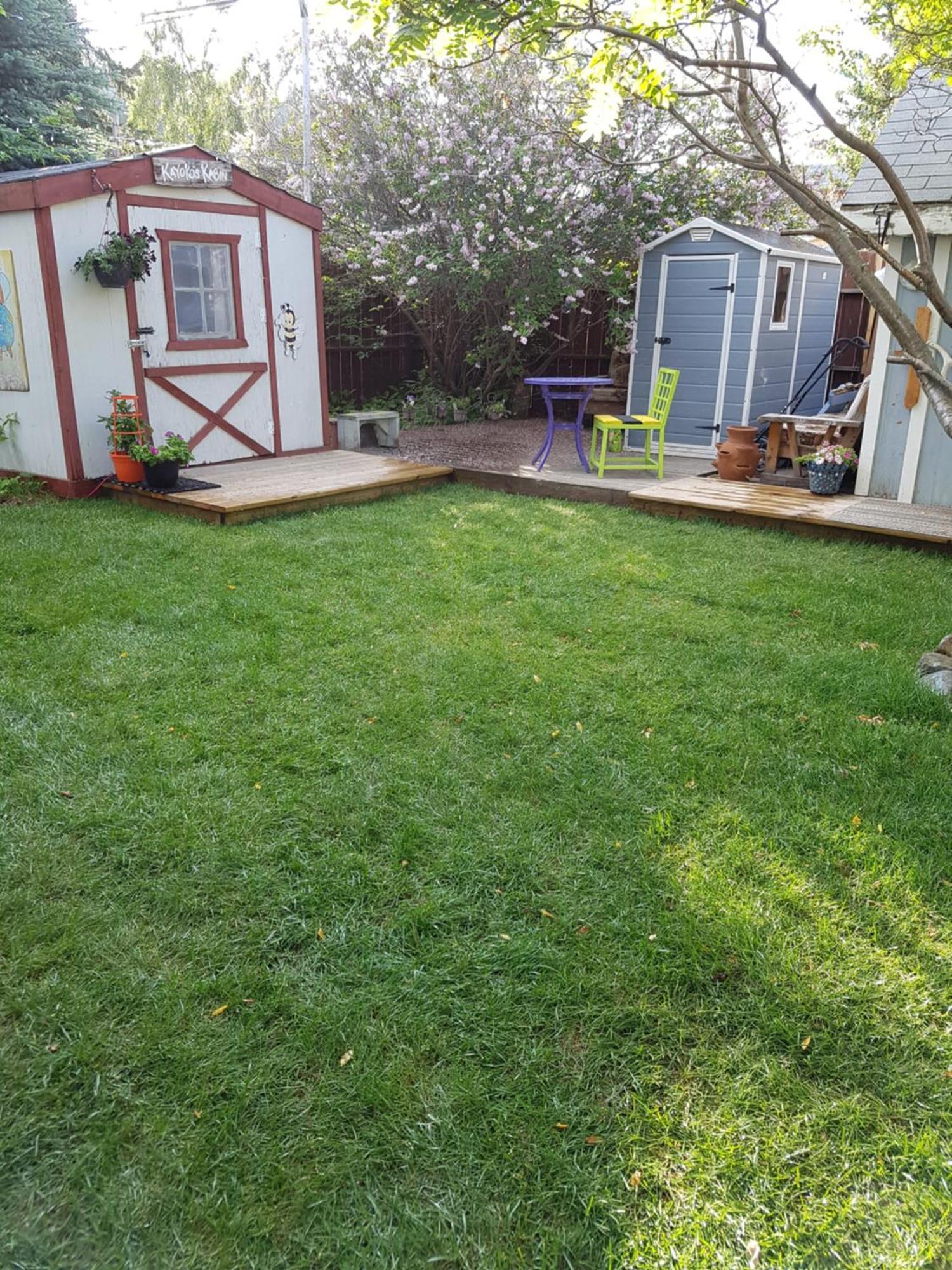 Beez Kneez Bakpakers Albergue Whitehorse Exterior foto